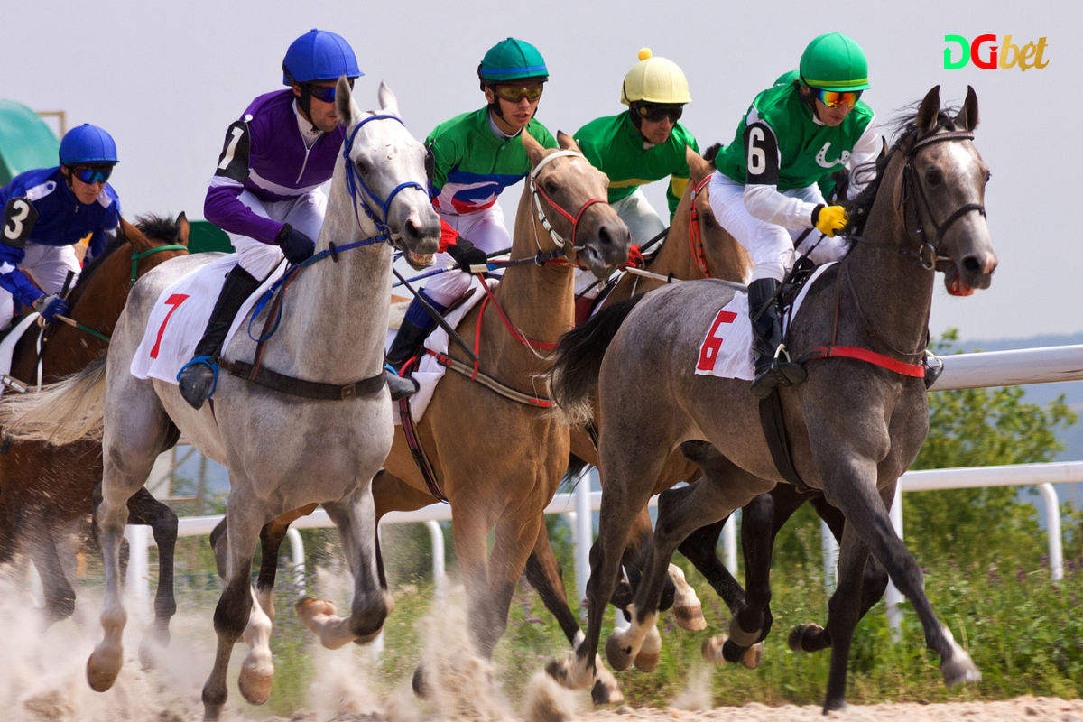 Today’s Horse Races: Free Tips and Expert Analysis for Winning Bets