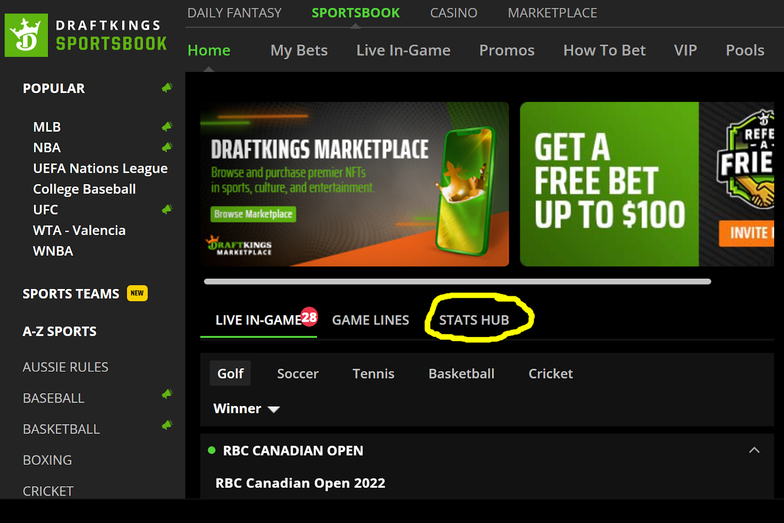 3. DraftKings Sportsbook