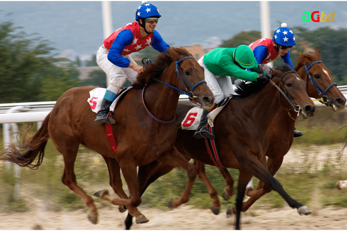 how to bet horse racing