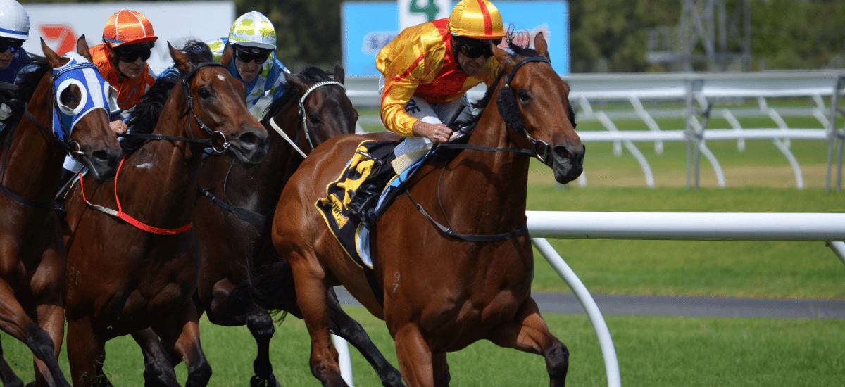 horse betting tips