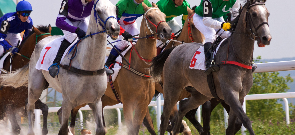 Simple Guide to Betting on Horse Racing for Beginners